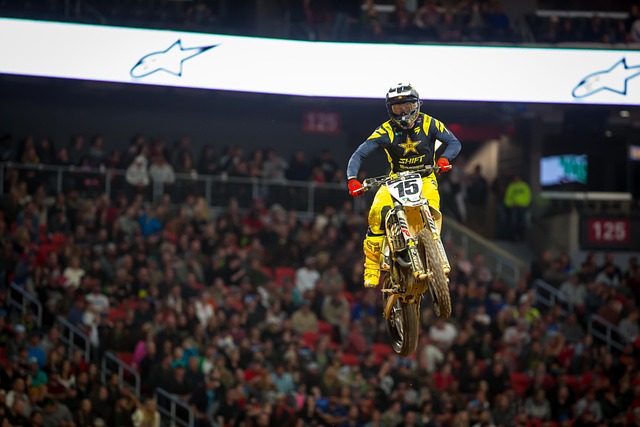 在亚冬会的 在亚冬会的